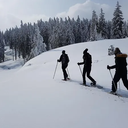 Dorfgasthof Schloesslstube Ξενοδοχείο