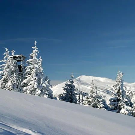Hotel Dorfgasthof Schloesslstube 3* Stuhlfelden