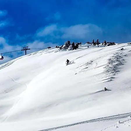 Dorfgasthof Schloesslstube 3* 스투흘펠덴